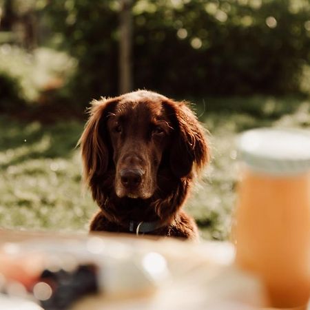 Готель Slapen Tussen De Paarden Essen Екстер'єр фото