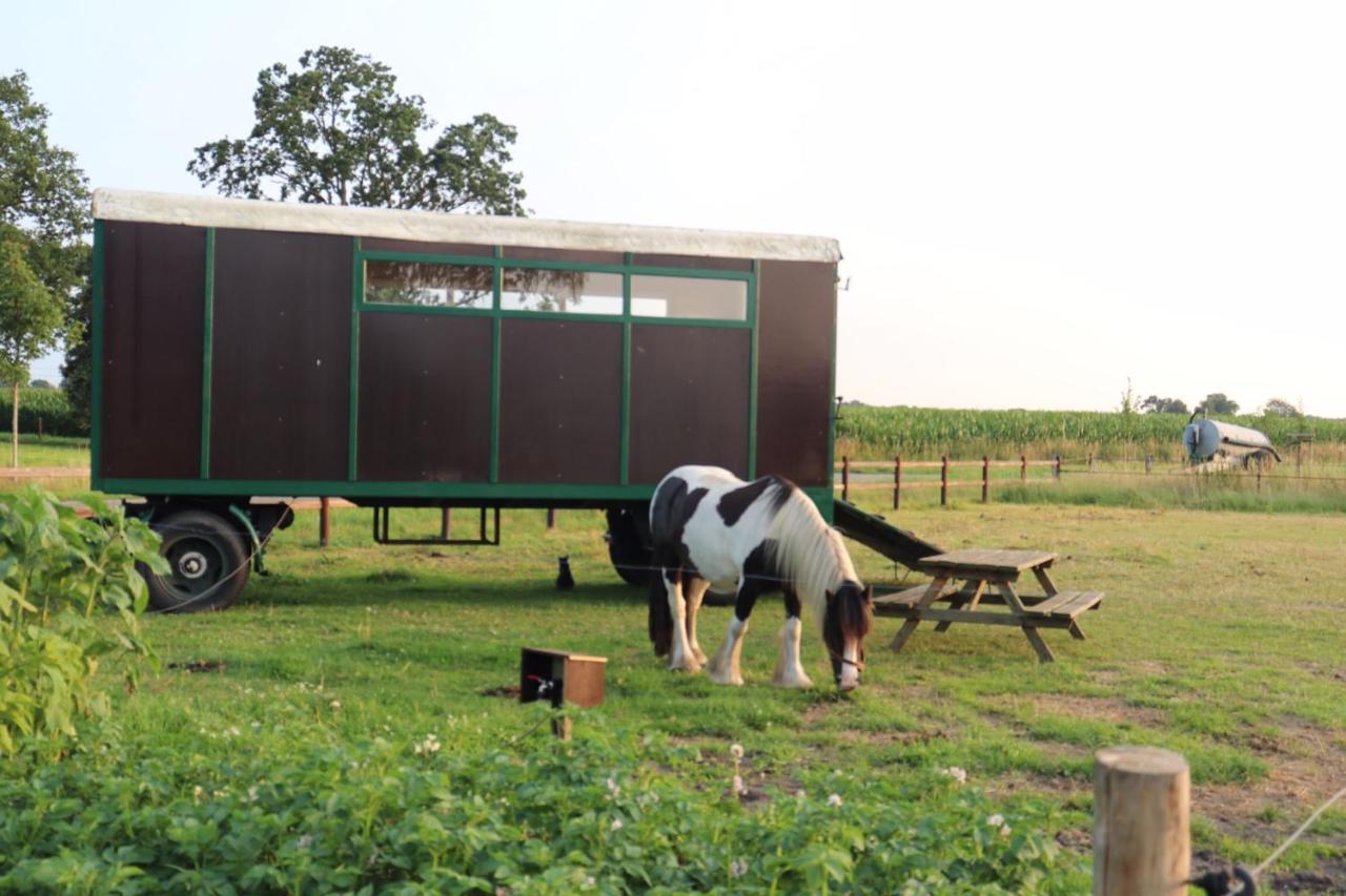 Готель Slapen Tussen De Paarden Essen Екстер'єр фото