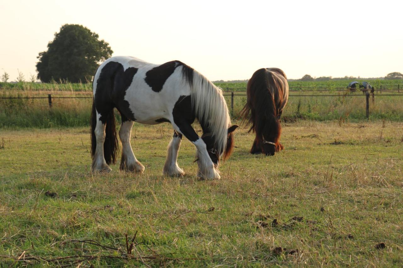 Готель Slapen Tussen De Paarden Essen Екстер'єр фото